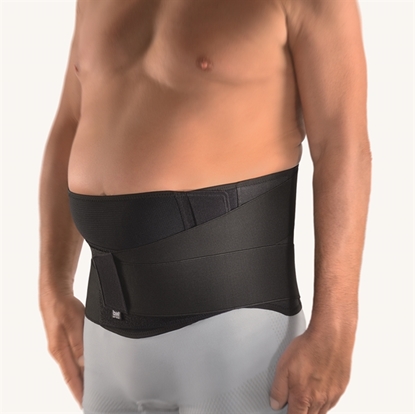 Attēls VarioPlus Back Support With Pad (112690)