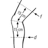 StabiloPro Knee Support Open Style (182300) attēls