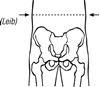 VarioPlus Back Support With Pad (112690) attēls