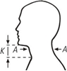 Semi-rigid contoured cervical collar (CC121) attēls