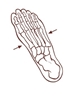 Picture of Metatarsal Support with Pad (112070)